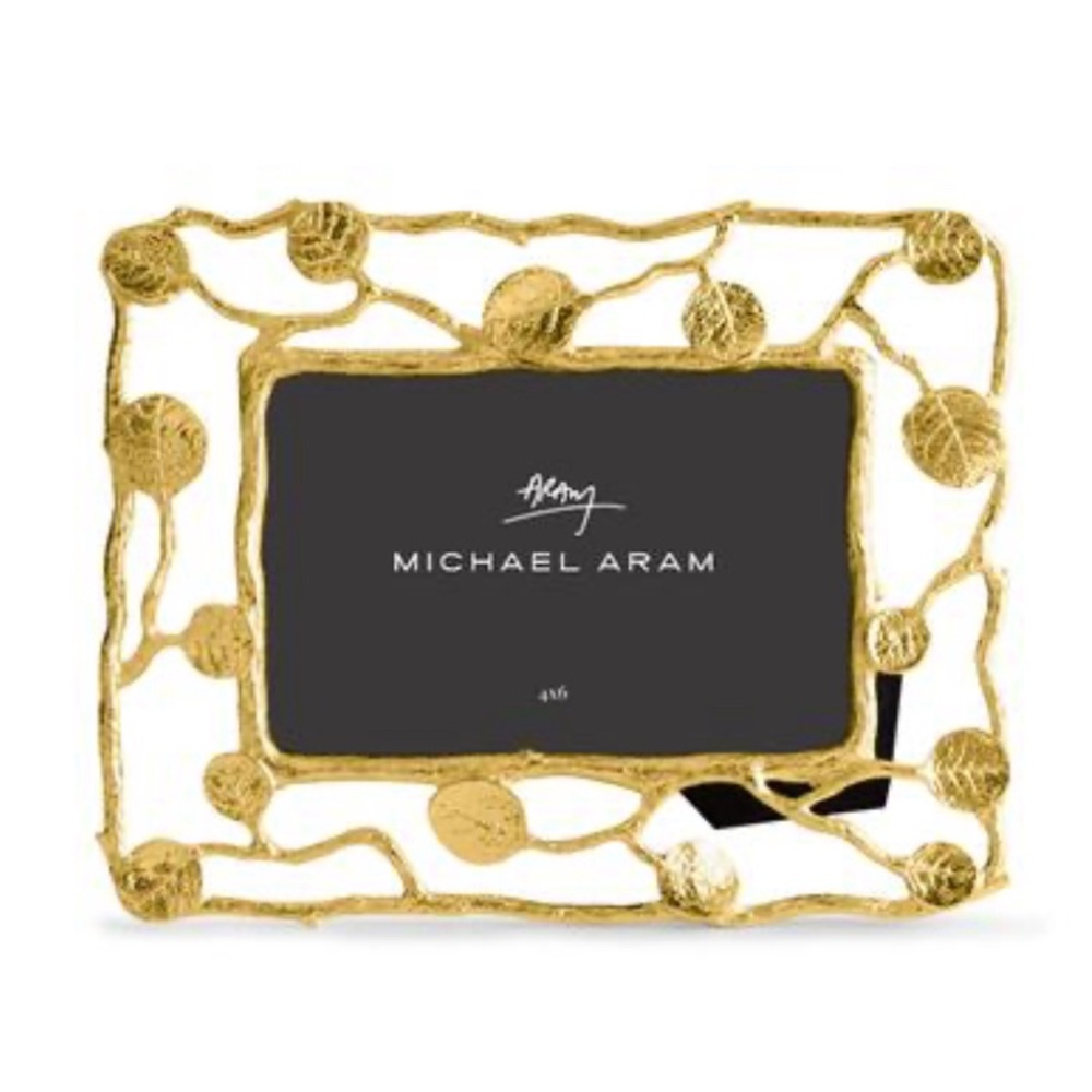 Michael Aram frame